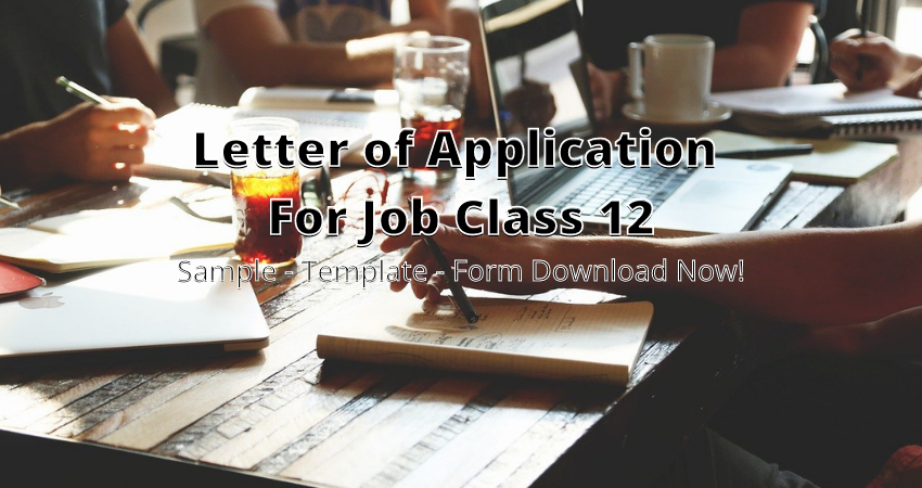 letter of application for a job grade 12